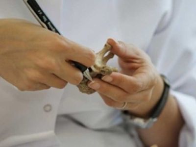 Remains discovered behind the Prison