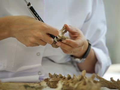 The Committee on Missing Persons thanked Akıncı