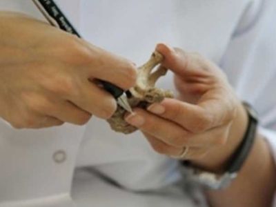 Missing Martyr Ezel to be buried today