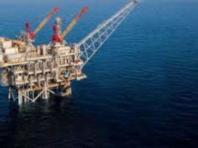 Total requested the renewal of the contract relevant to the 11th parcel