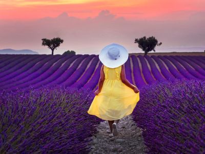 The 25th National Photography Contest results announced