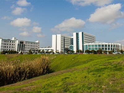 NEU Medical Faculty in the list of World Medical Faculties