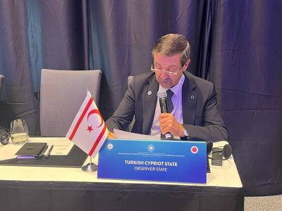 Diplomacy for Gaza in İstanbul